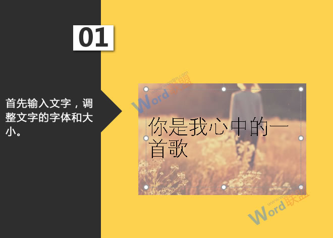 黑乌梅功效video欧美女孩zoo，古老的养生瑰宝，揭示其神奇的功效与应用