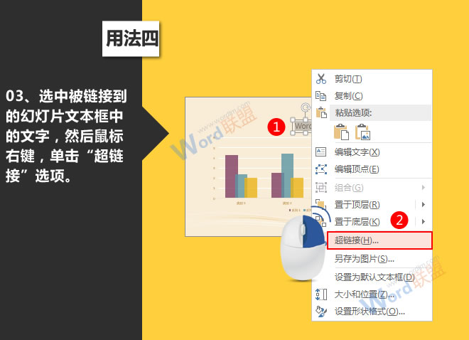 酸奶的美容国产熟女老妇300部mp4，揭秘自然界的肌肤魔法师